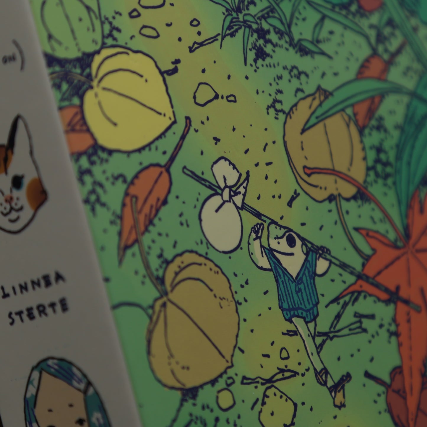 A Frog in the Fall By Linnea Sterte