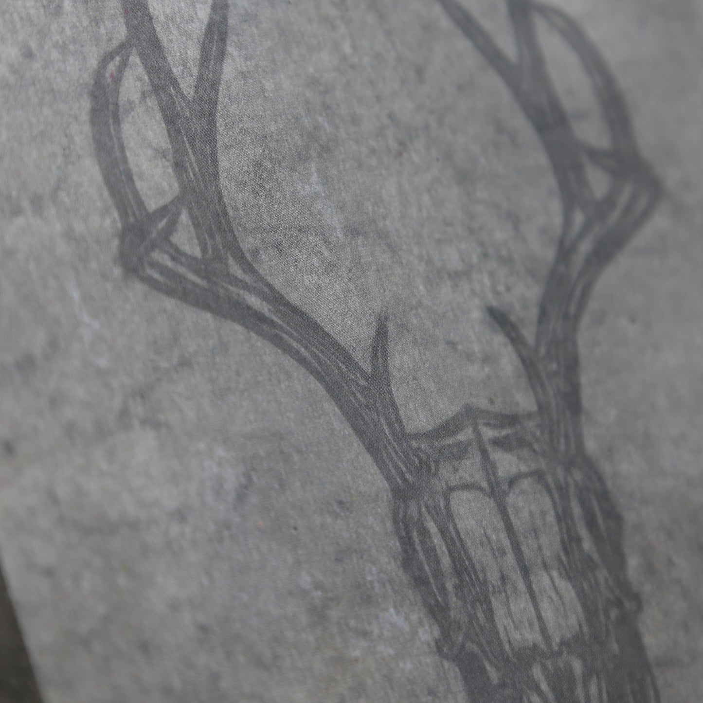 Forbidden Psalm Warband Book