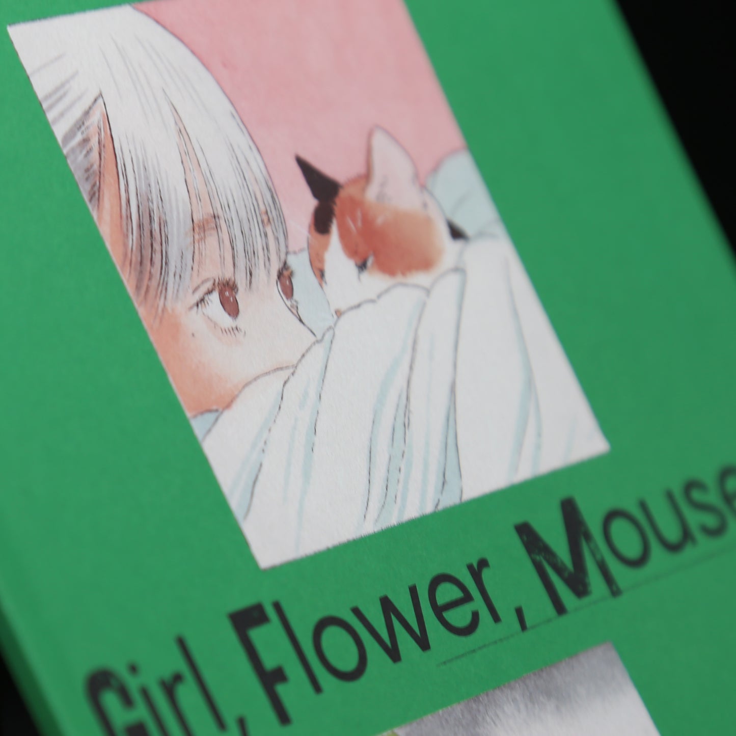 Girl, Flower, Mouse, Rabbit, Egg, and Cat