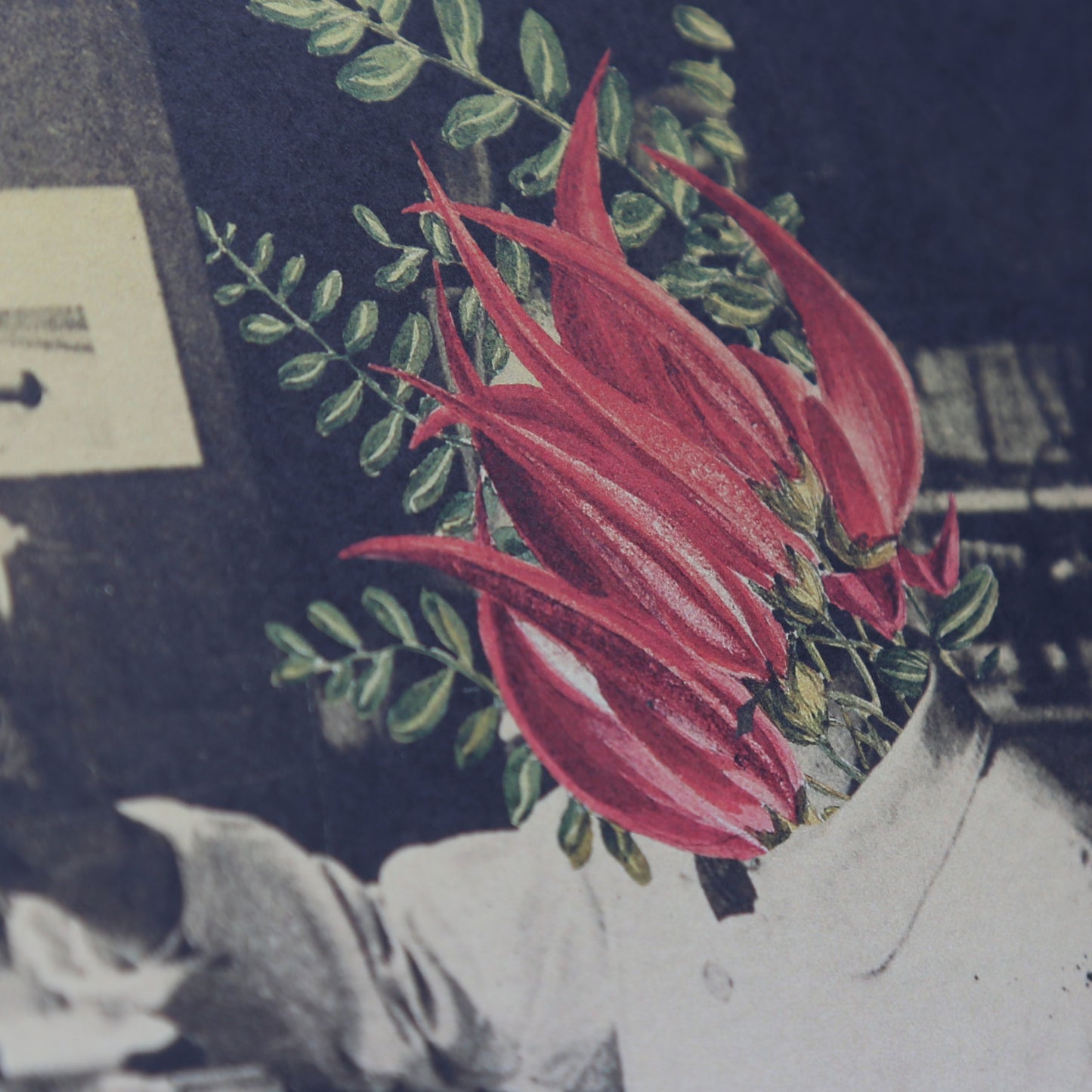 The Strain by David Blandy