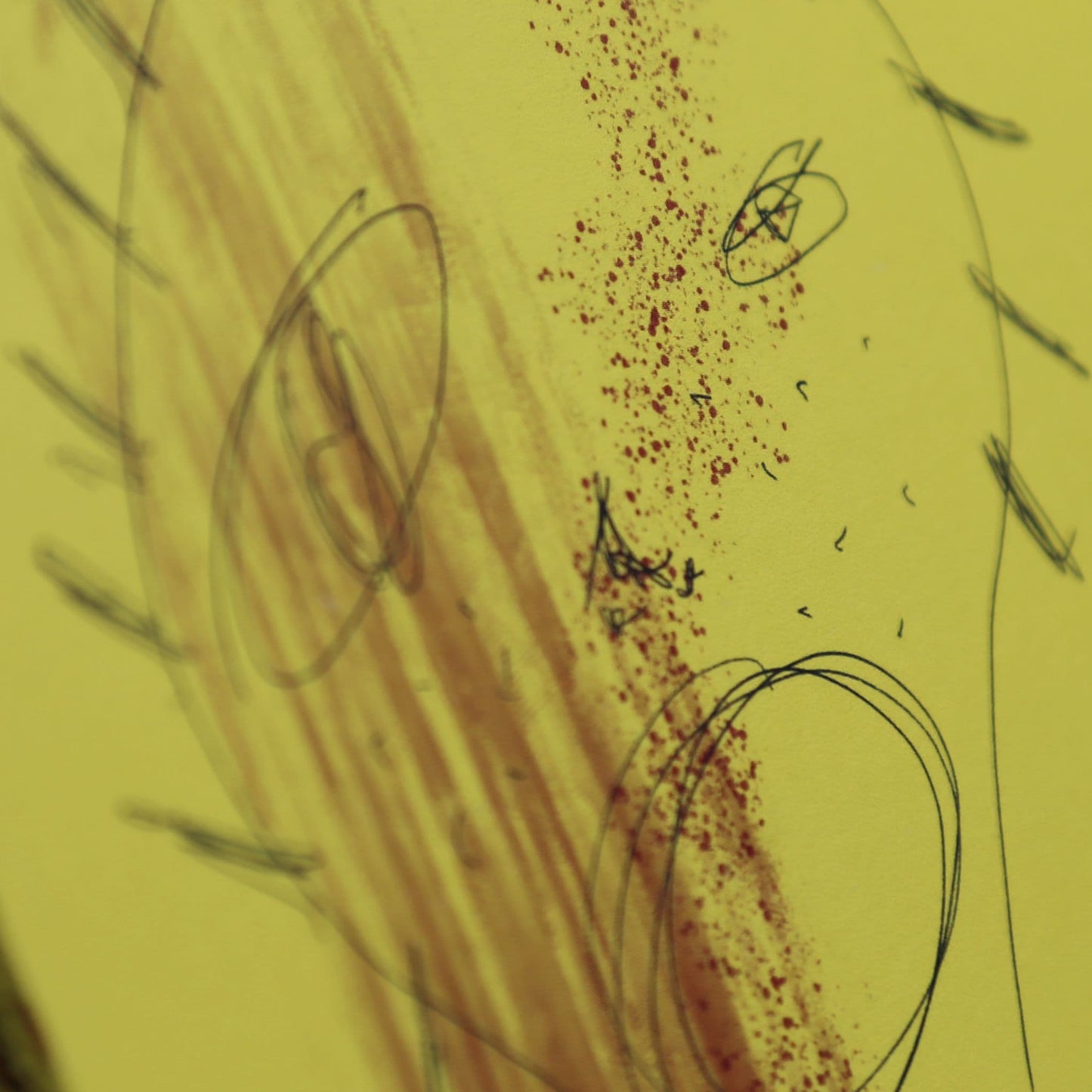 Crapland by Sean Richer