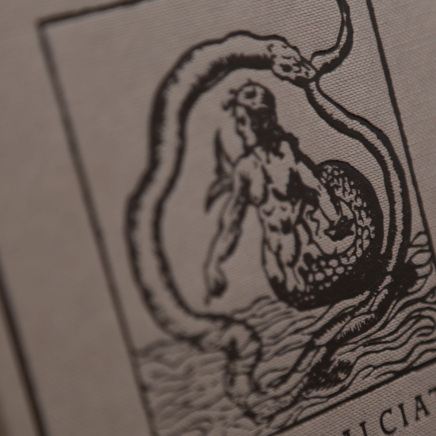 Emblemata by Andrea Alciato