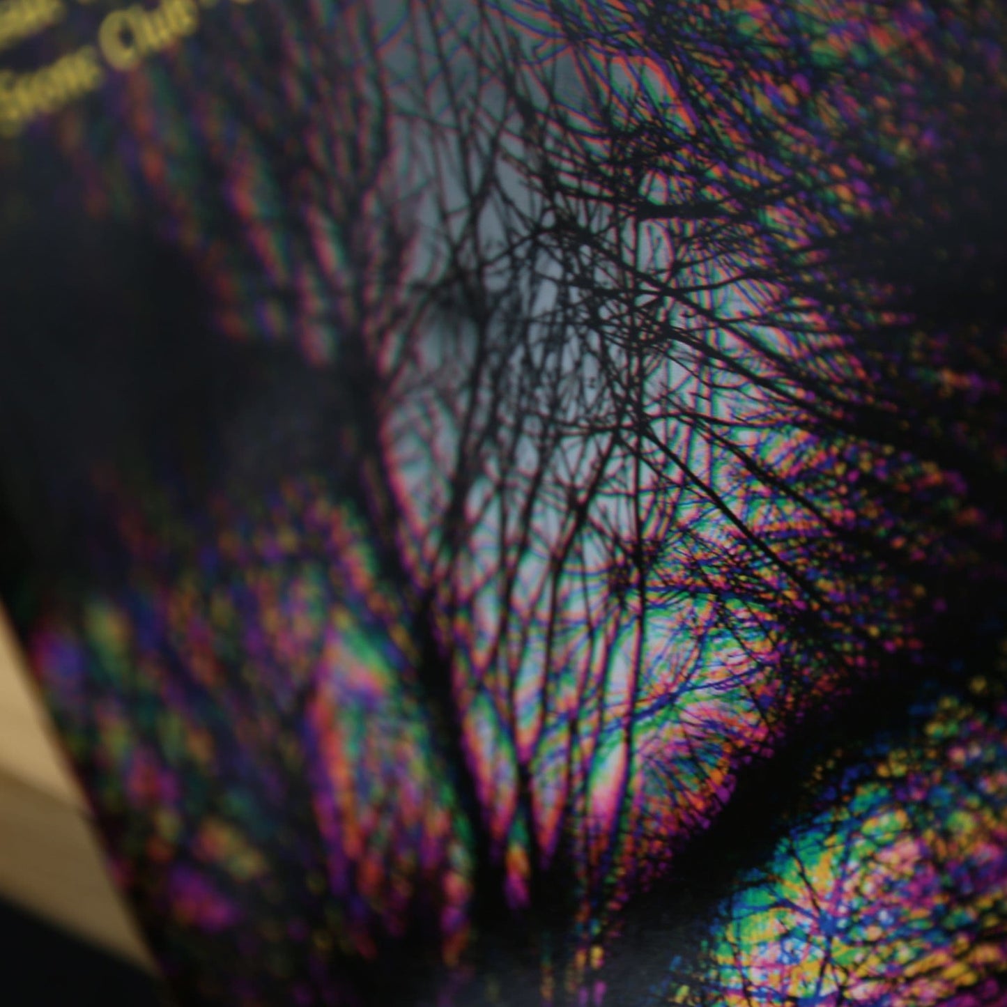 Grimoire Silvanus ISSUE 6