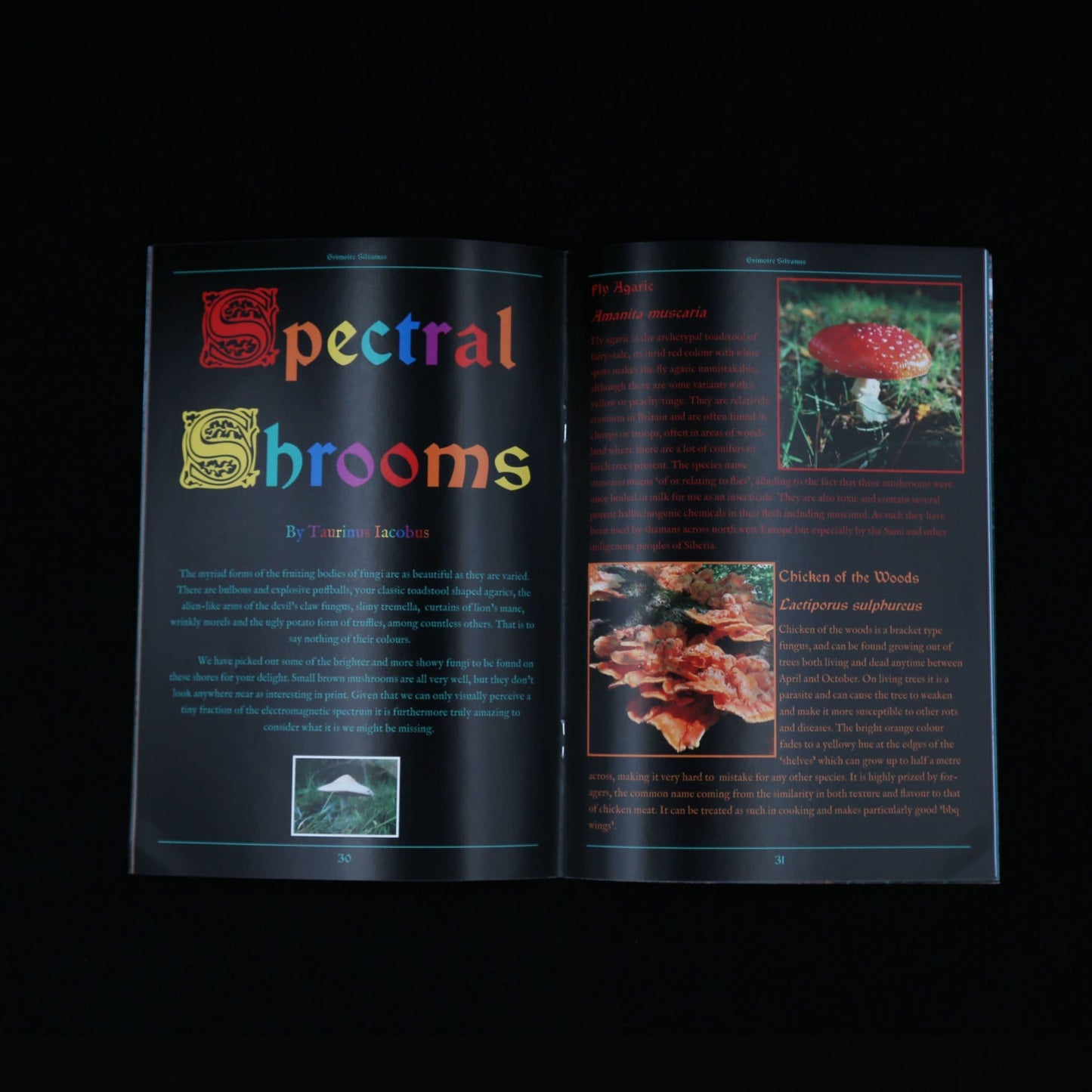 Grimoire Silvanus ISSUE 7