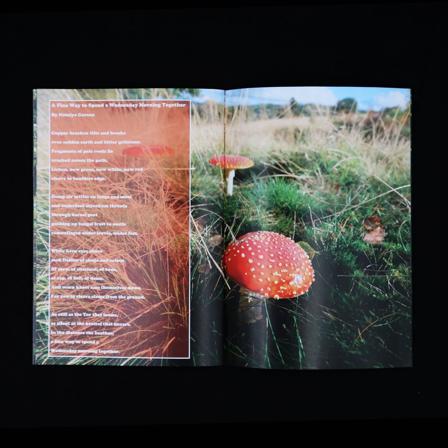 Grimoire Silvanus ISSUE 8