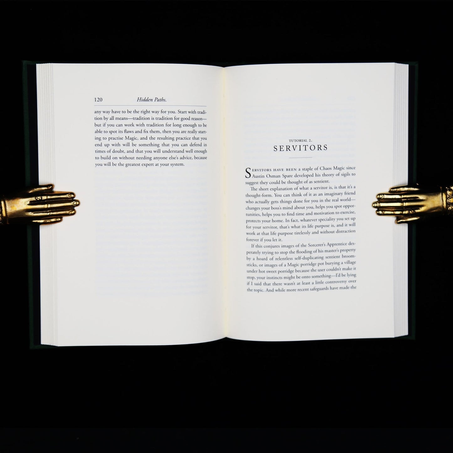 Hidden Paths by Denis Poisson