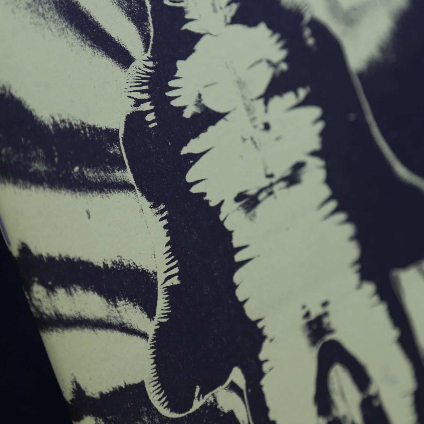 Thousand Empty Light by Alfred Valley