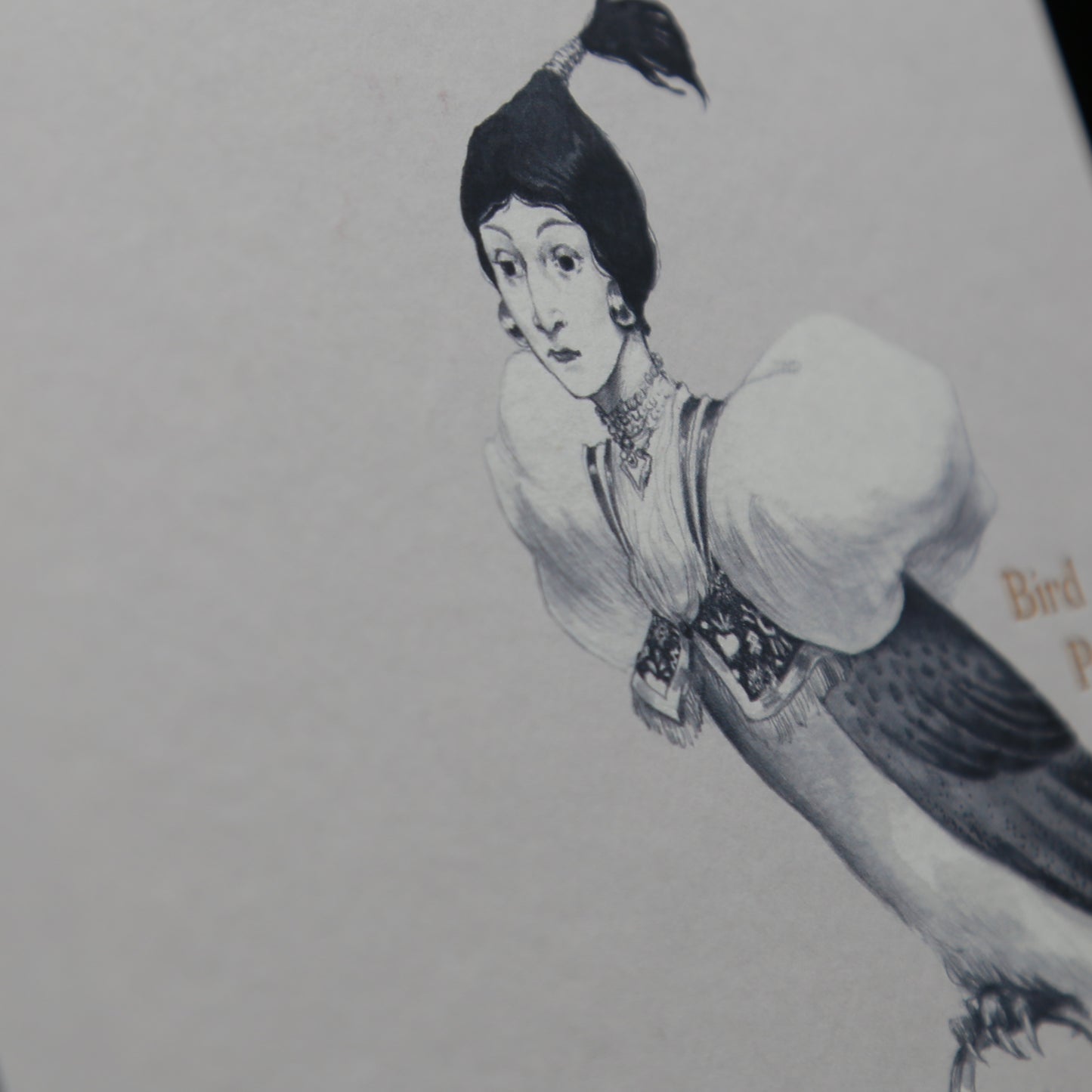 Bird People by Marie-Alice Harel