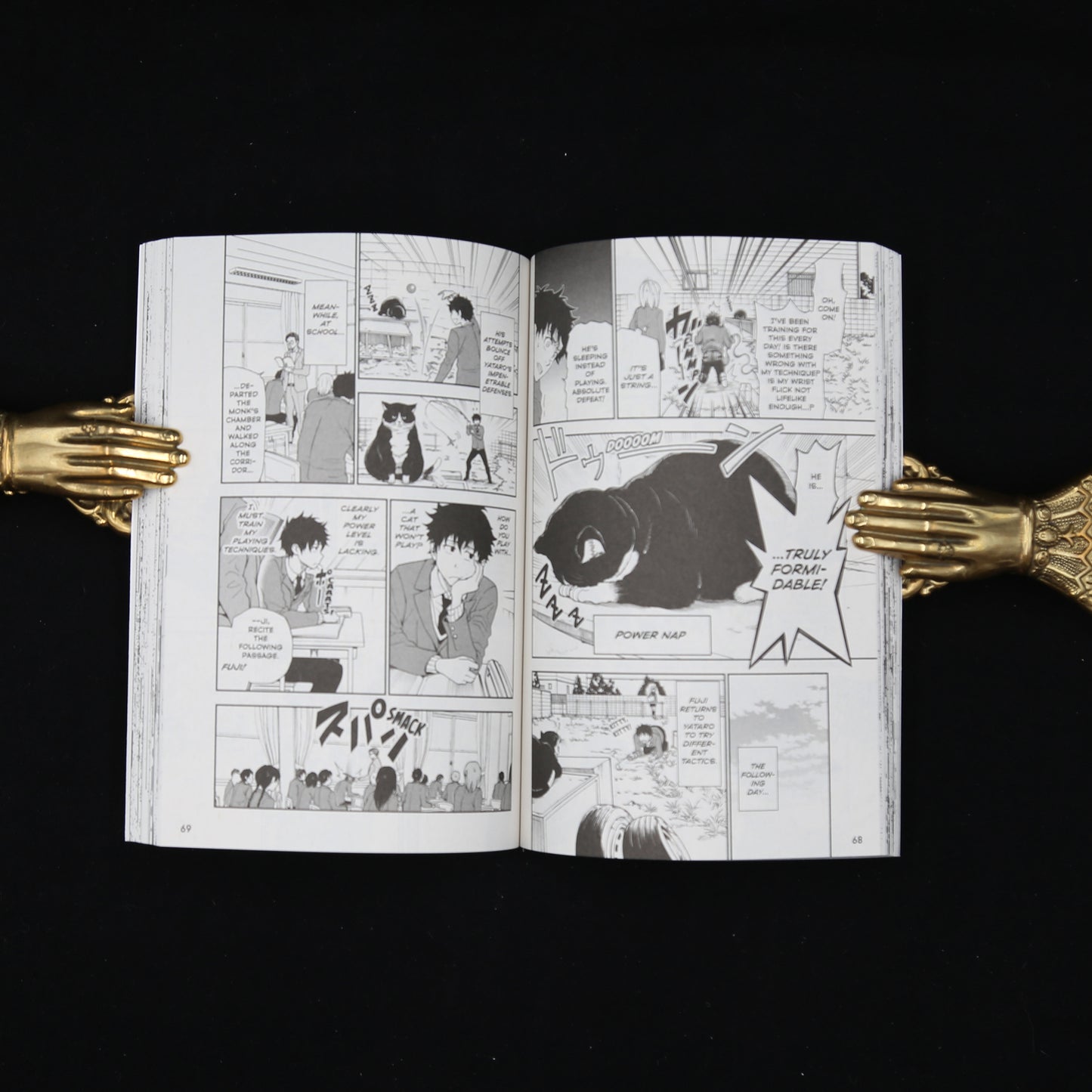 Cat + crazy Volume 1 by Wataru Nadatani