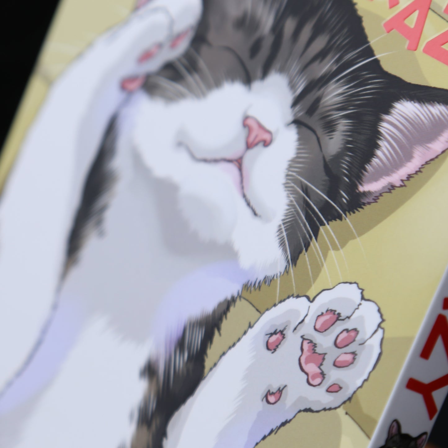 Cat + crazy Volume 1 by Wataru Nadatani