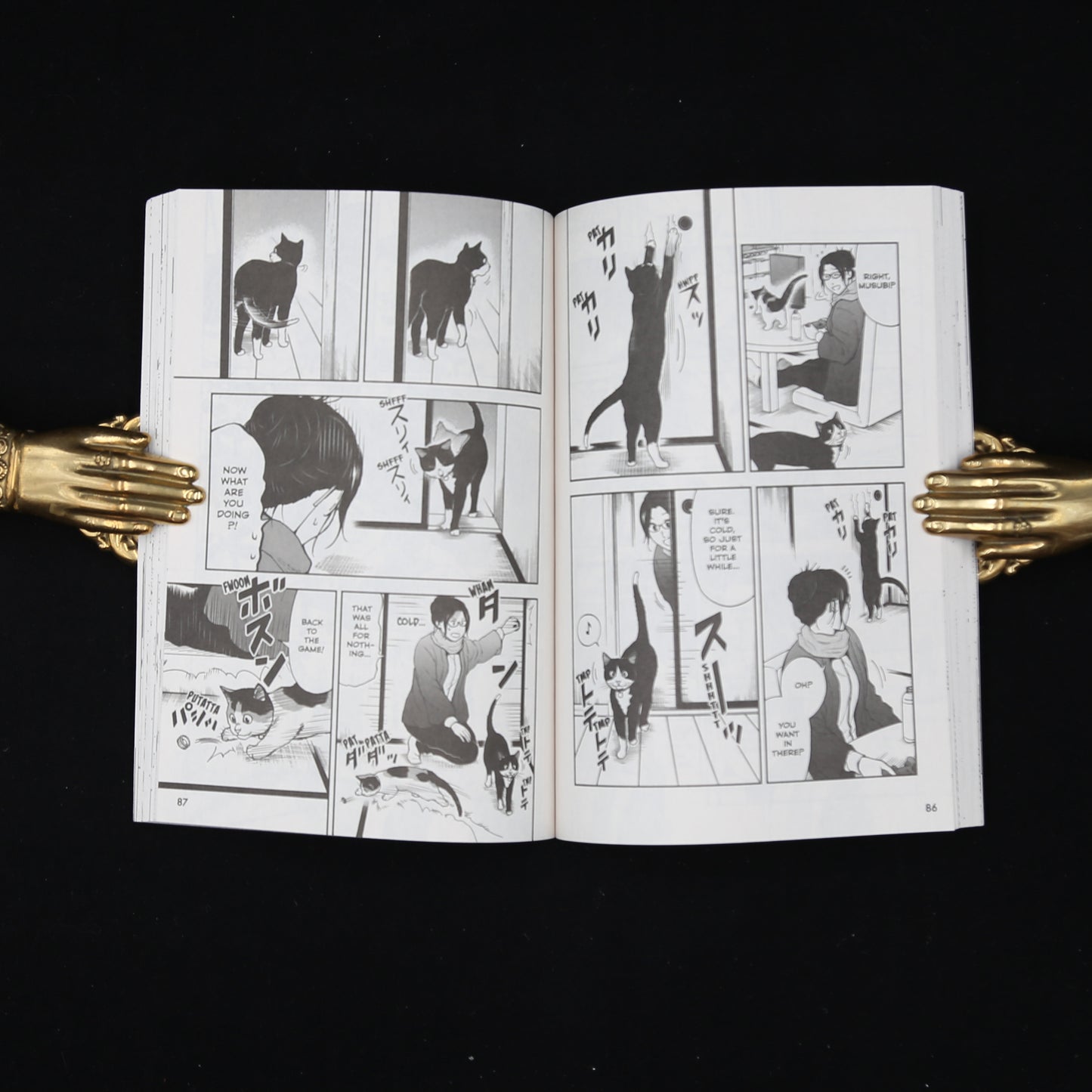 Cat + Gamer Volume 6 by Wataru Nadatani