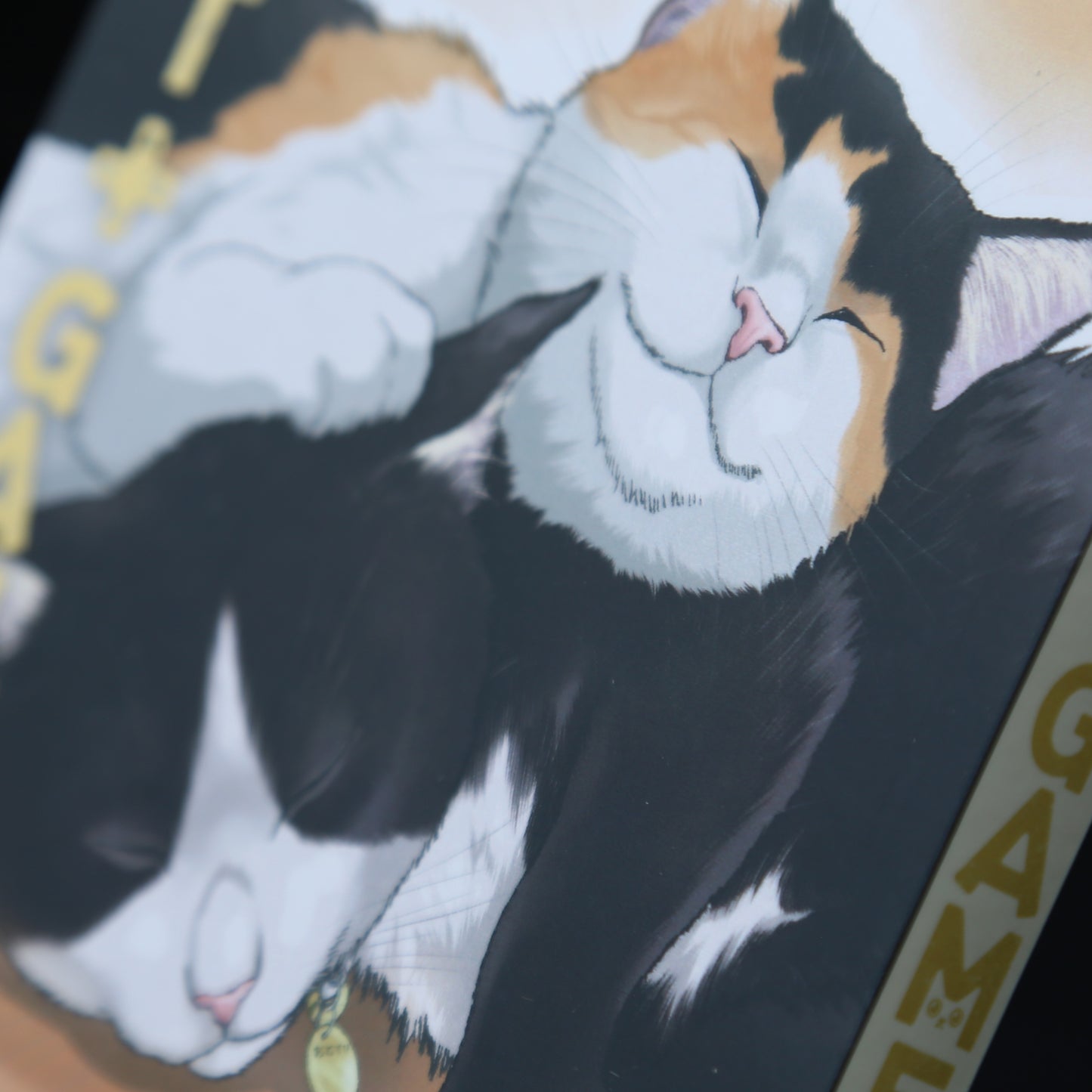 Cat + Gamer Volume 6 by Wataru Nadatani