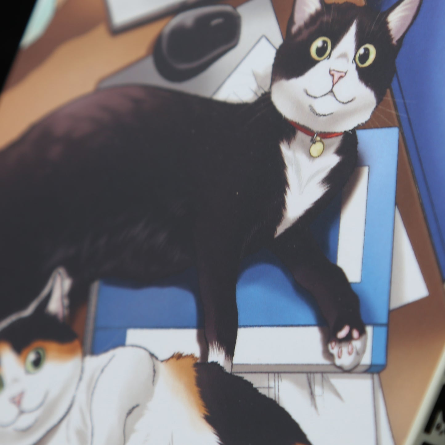 Cat + Gamer Volume 7 by Wataru Nadatani