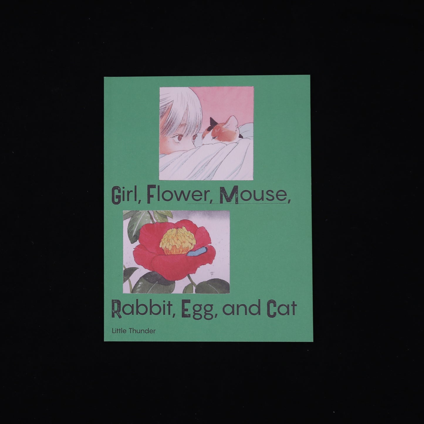 Girl, Flower, Mouse, Rabbit, Egg, and Cat