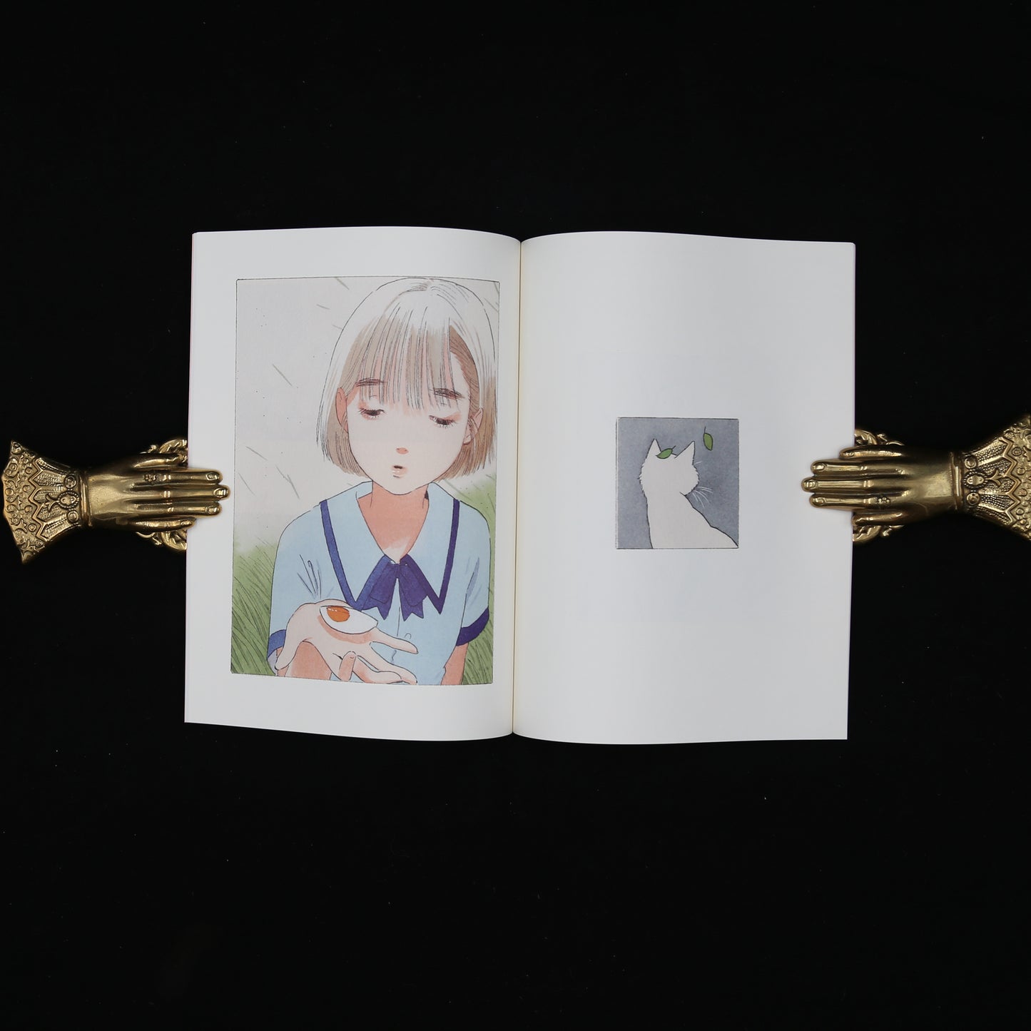 Girl, Flower, Mouse, Rabbit, Egg, and Cat