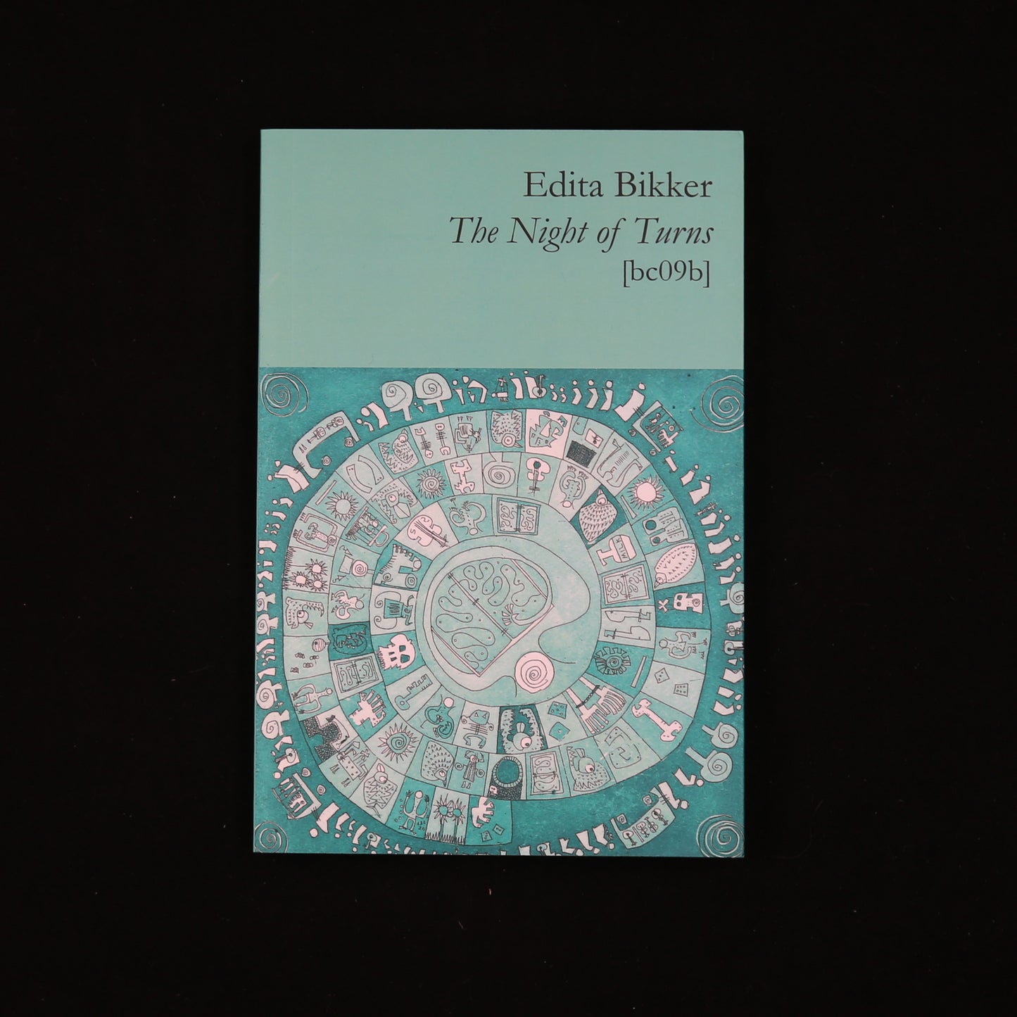 Night of Turns by Edita Bikker