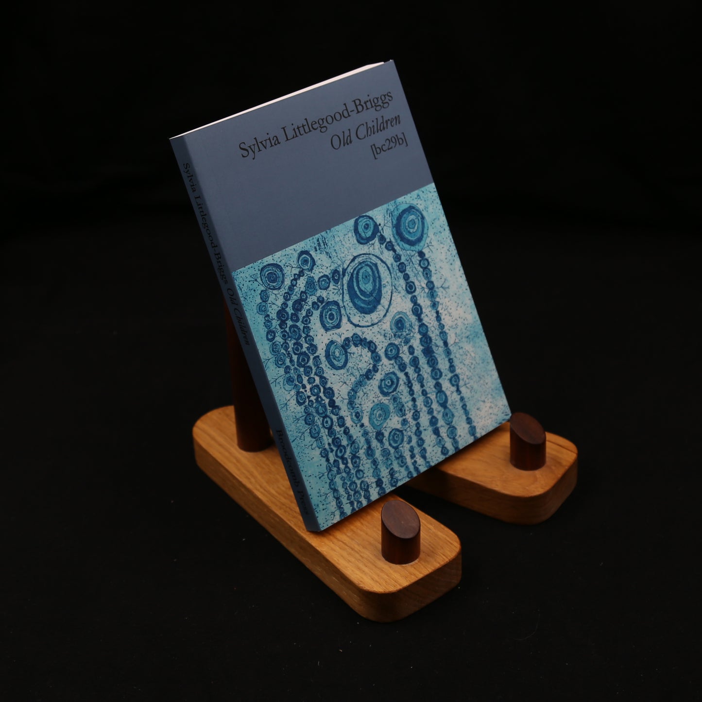 Old Children by Sylvia Littlegood-Briggs