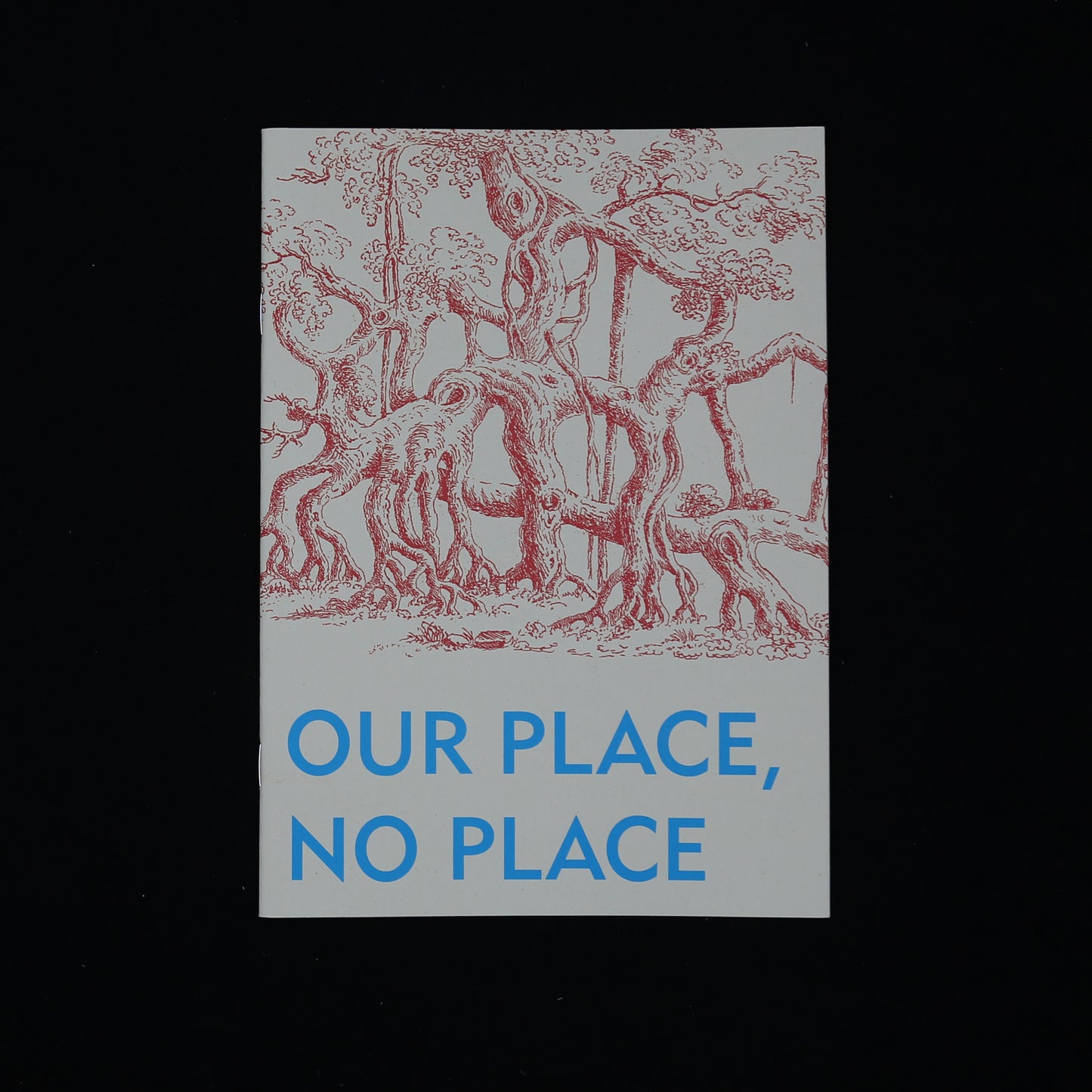 Our place, no place by David Blandy