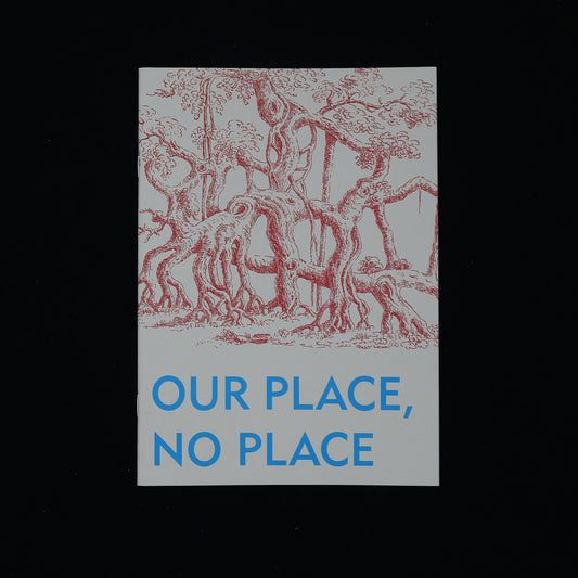 Our place, no place by David Blandy