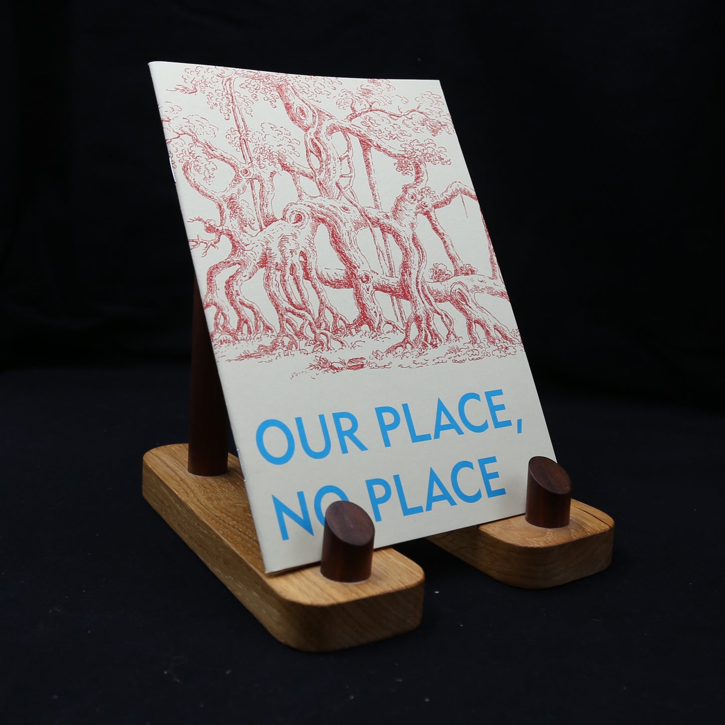 Our place, no place by David Blandy