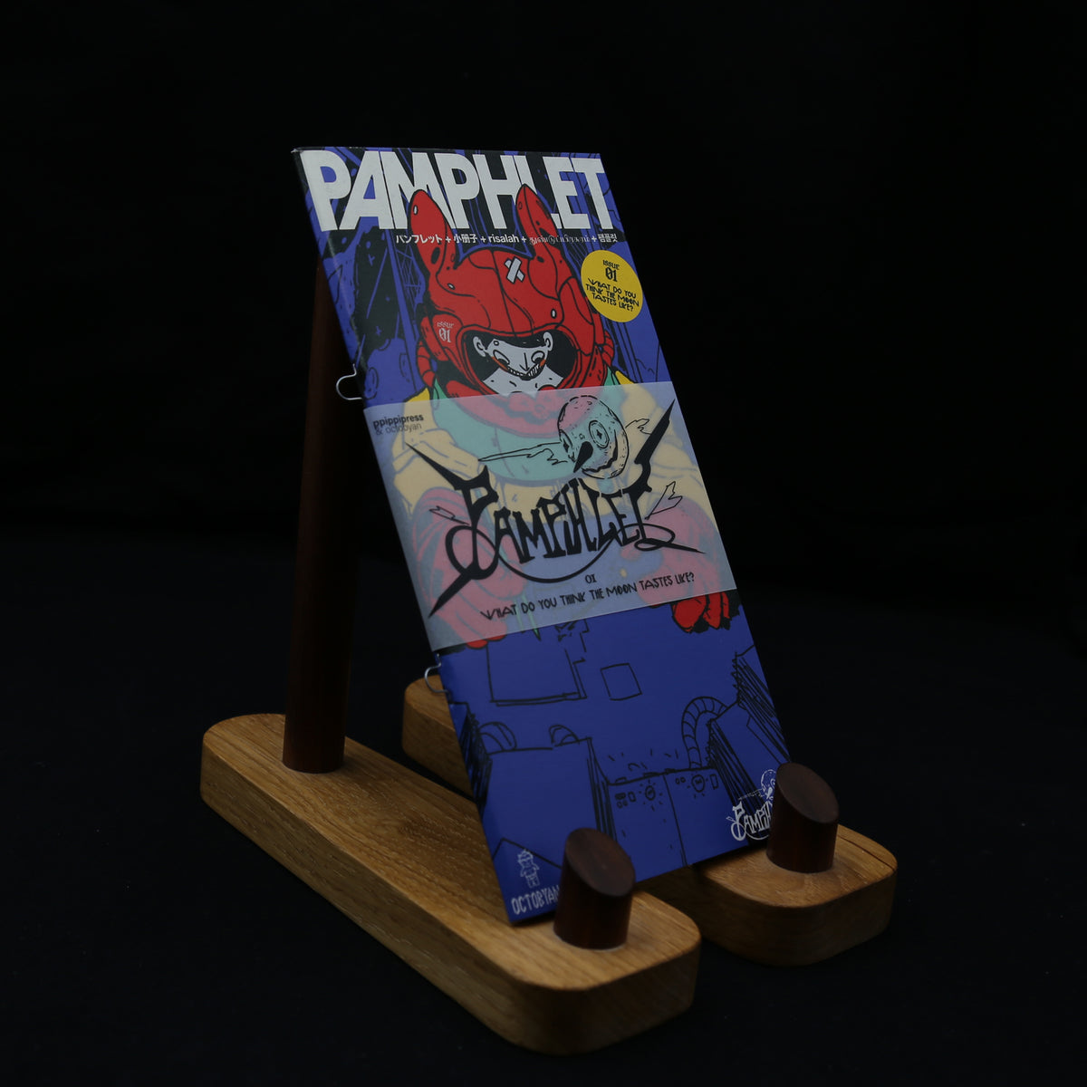 Pi Pamplet PAMPHLET 01 - What does the moon taste like? – Iglootree