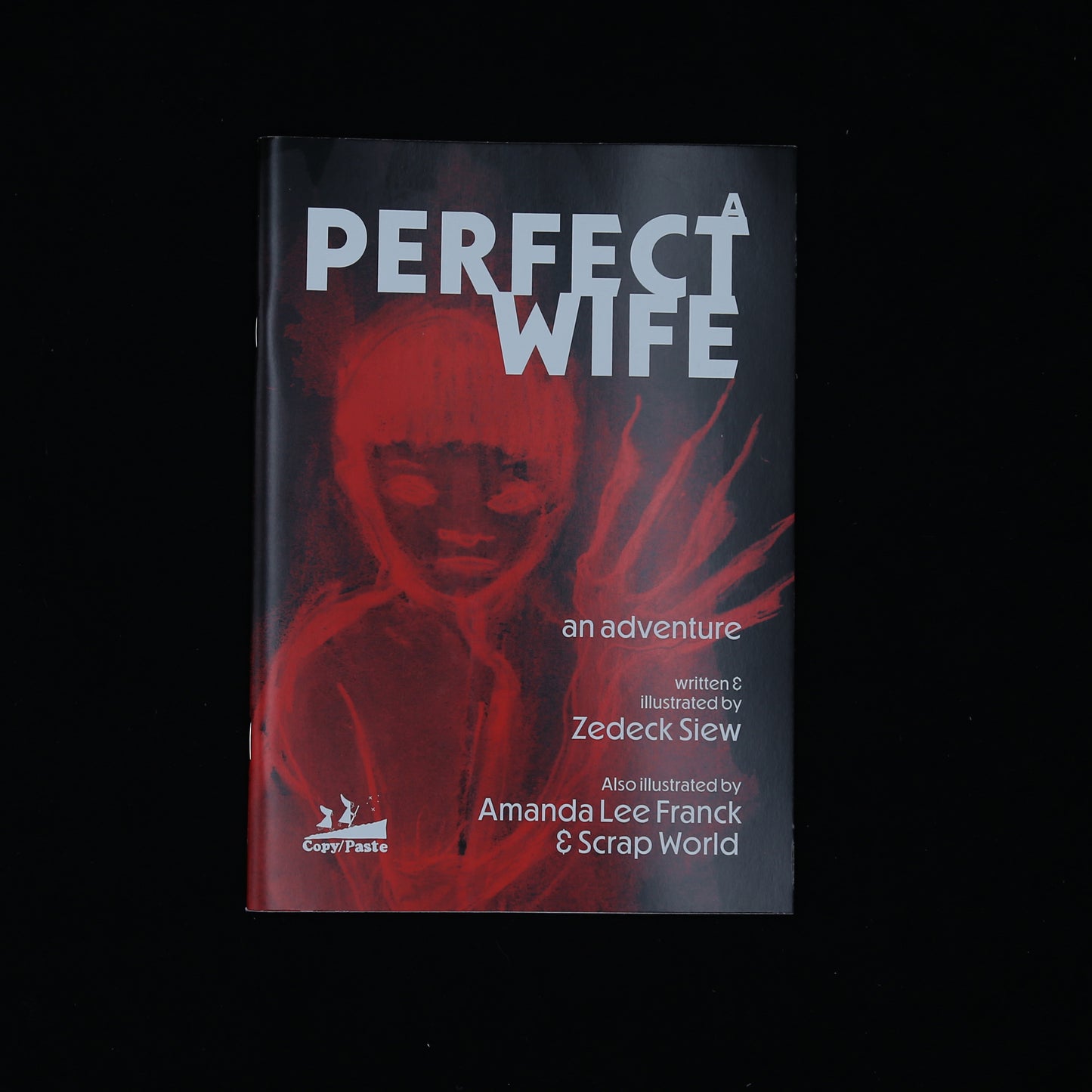 A Perfect Wife