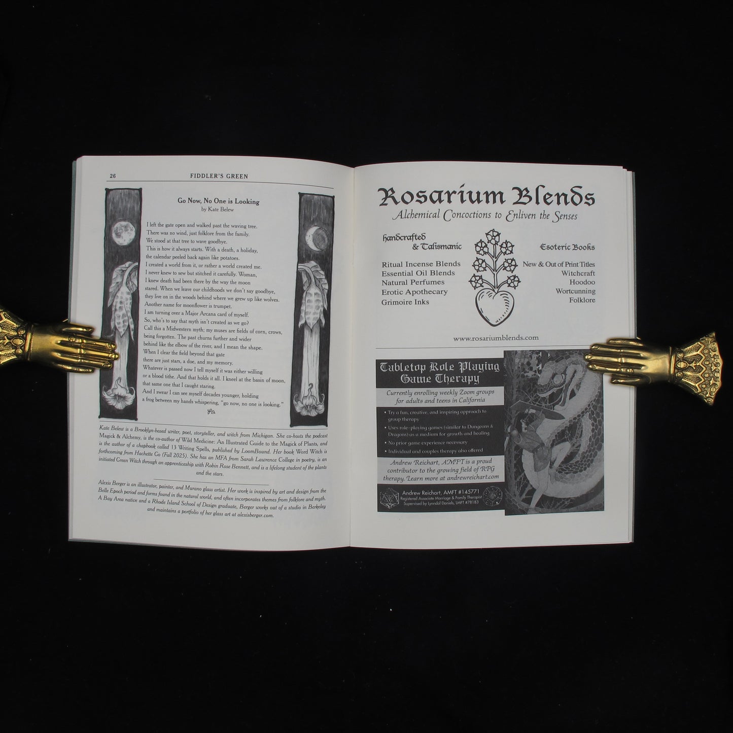 Fiddler's Green 9: Akashic Ashcan