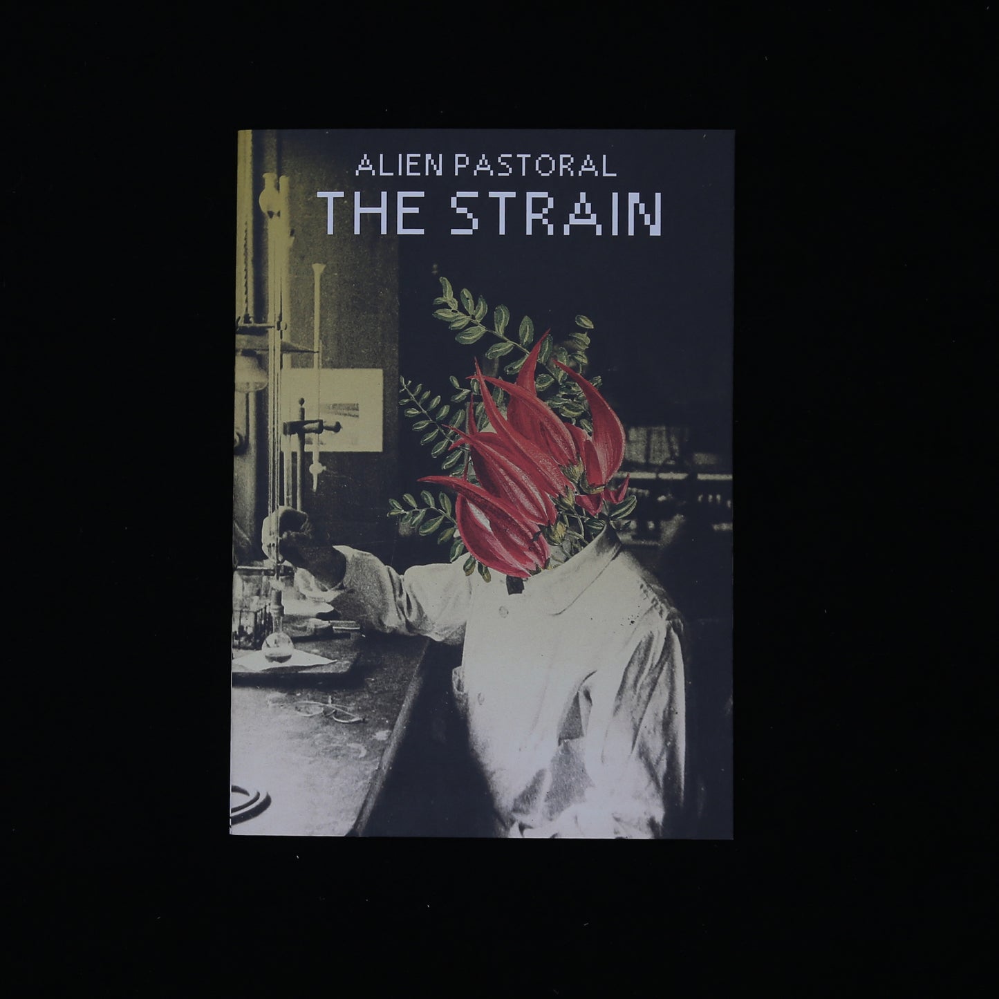 The Strain by David Blandy