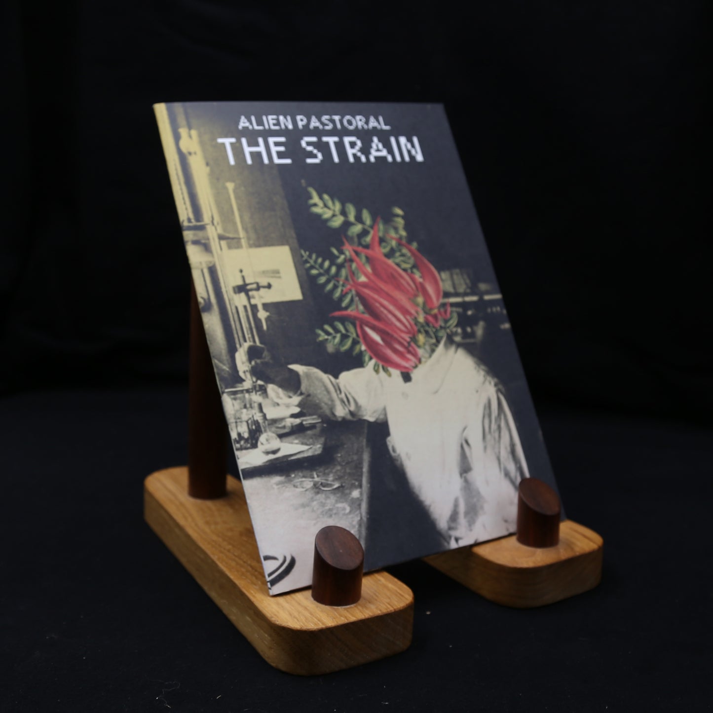 The Strain by David Blandy