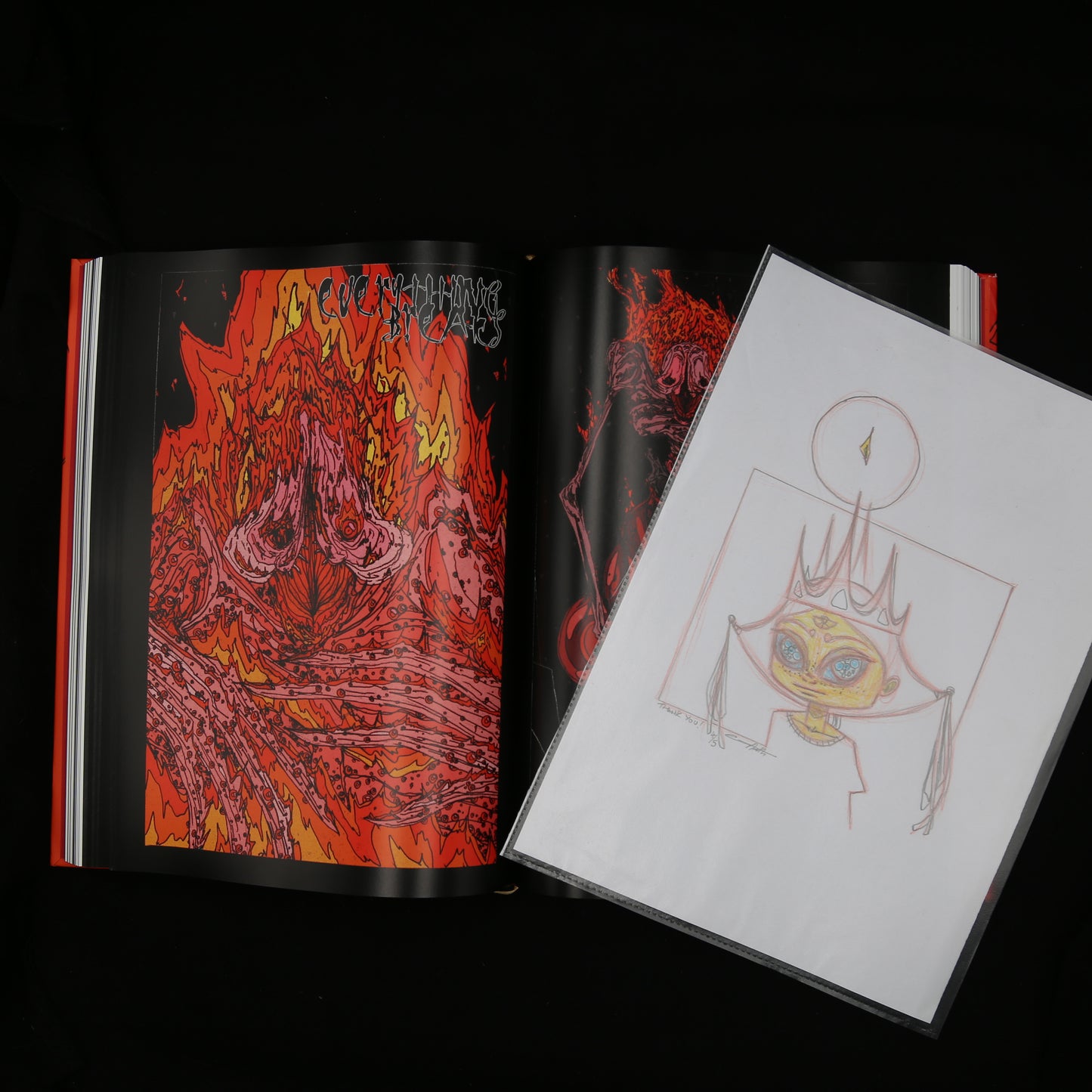 The Seed of Merydyan by Chris Halls