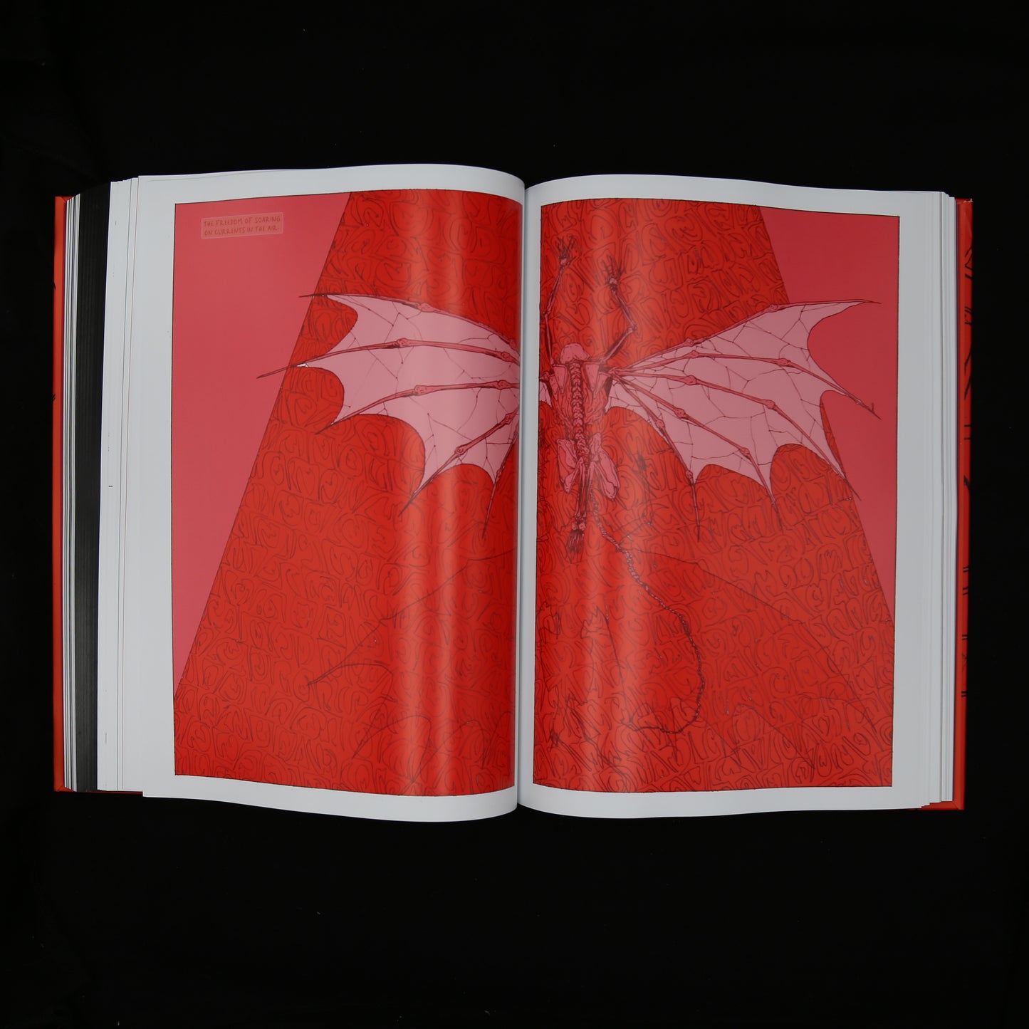 The Seed of Merydyan by Chris Halls