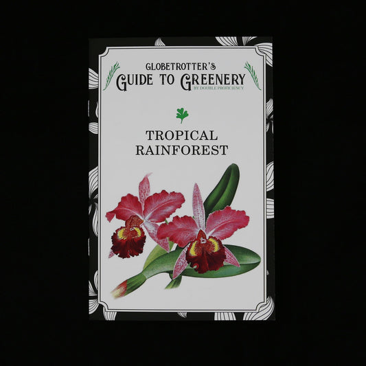 Globetrotter's Guide to Greenery: Tropical Rainforest by Anna Urbanek and Jakub Wisz.