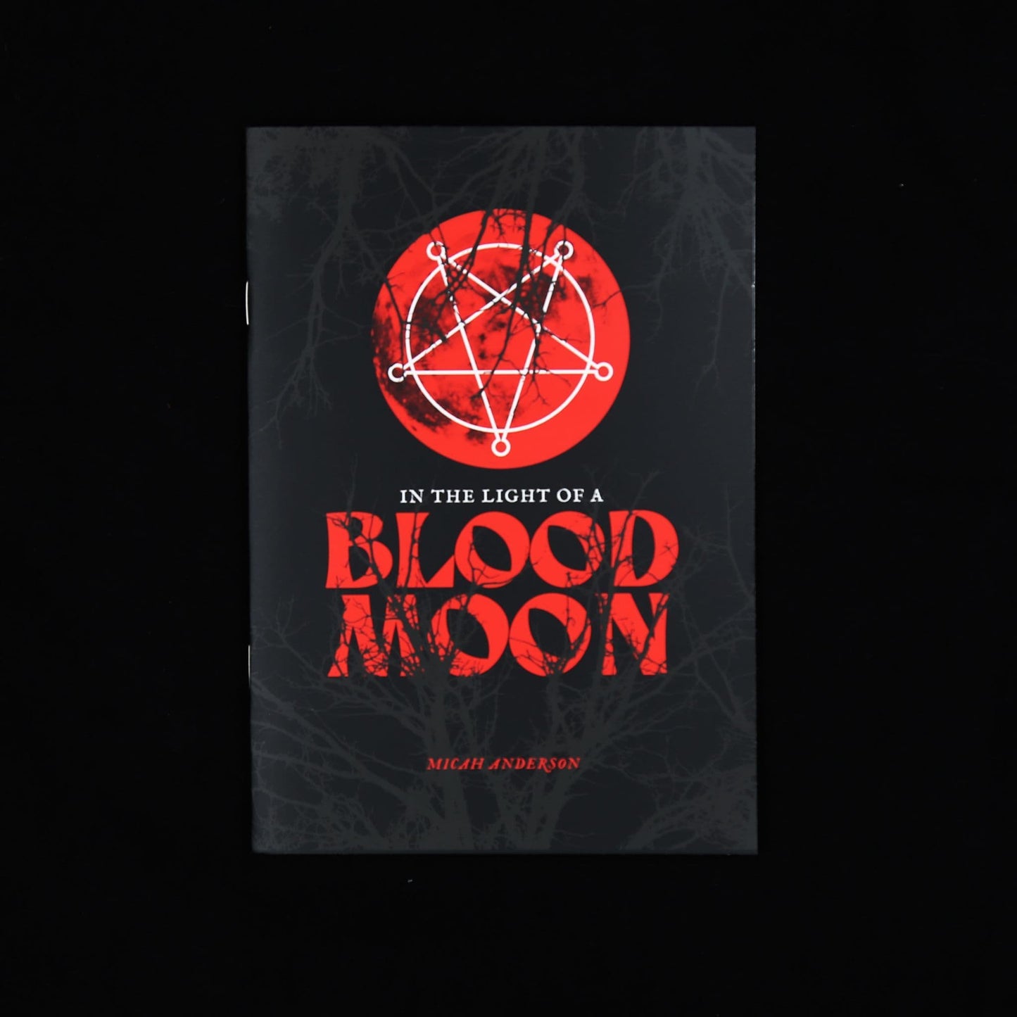 In the Light of a Blood Moon by Micah Anderson