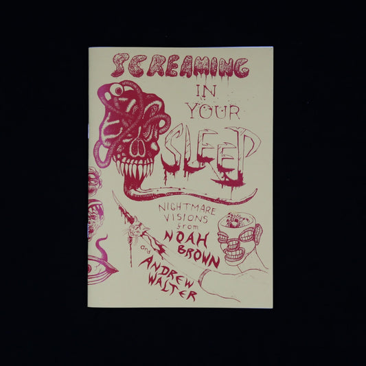 Screaming In Your Sleep #1 horror/gore zine by Andrew Walter and  Noah Brown